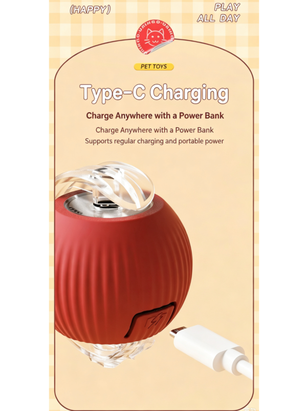 Pet toy ball