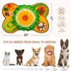 Bone Blanket