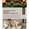 3 Pet de-shedding comb