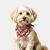 Chinese-Style Dog Bandana | Soft, Skin-Friendly, and Easy-to-Clean Pure Cotton