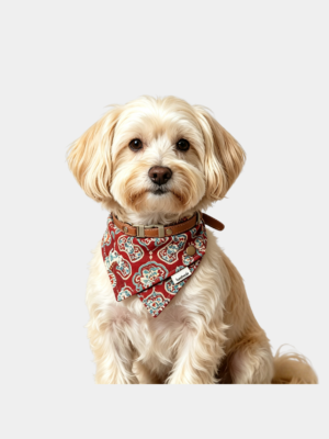 4 Chinese-Style Dog Bandana | Soft, Skin-Friendly, and Easy-to-Clean Pure Cotton