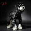 Cool Dog Leather Jacket | Warm, Windproof, and Cold-Resistant Coat | Suitable for All Types of Dogs